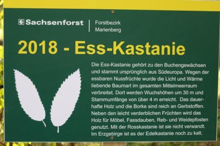 Waldfest auf dem Hüttenfeld (06.05.2018)